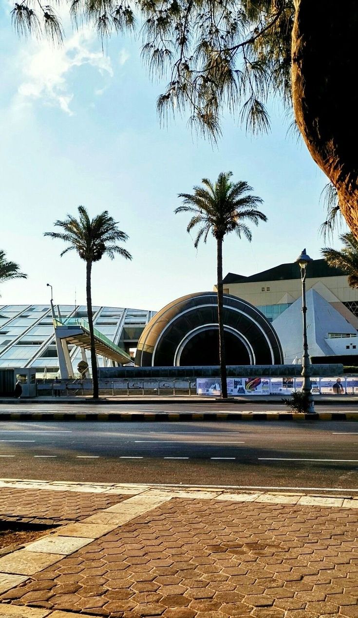 مكتبة الإسكندرية